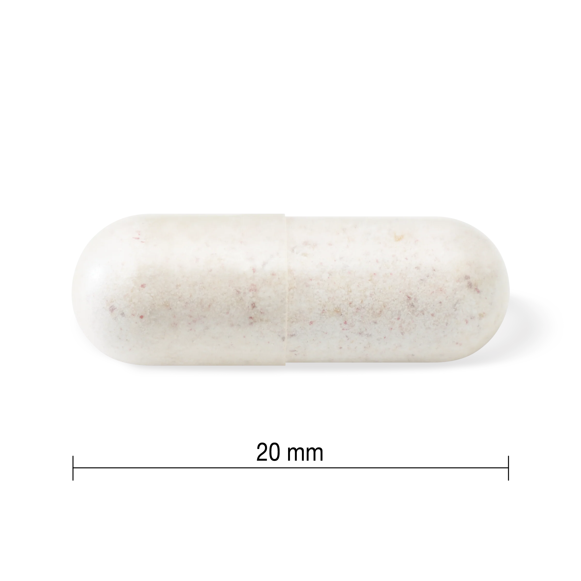 Probiotic 15 Billion CFU for Adults 50+ - Image 4