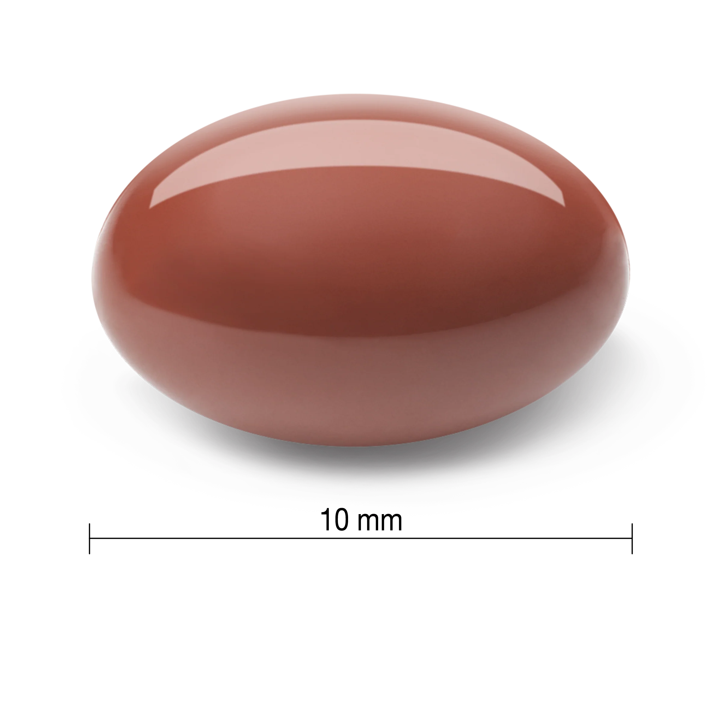 Echinacea 4,000 mg | Softgels - Image 4