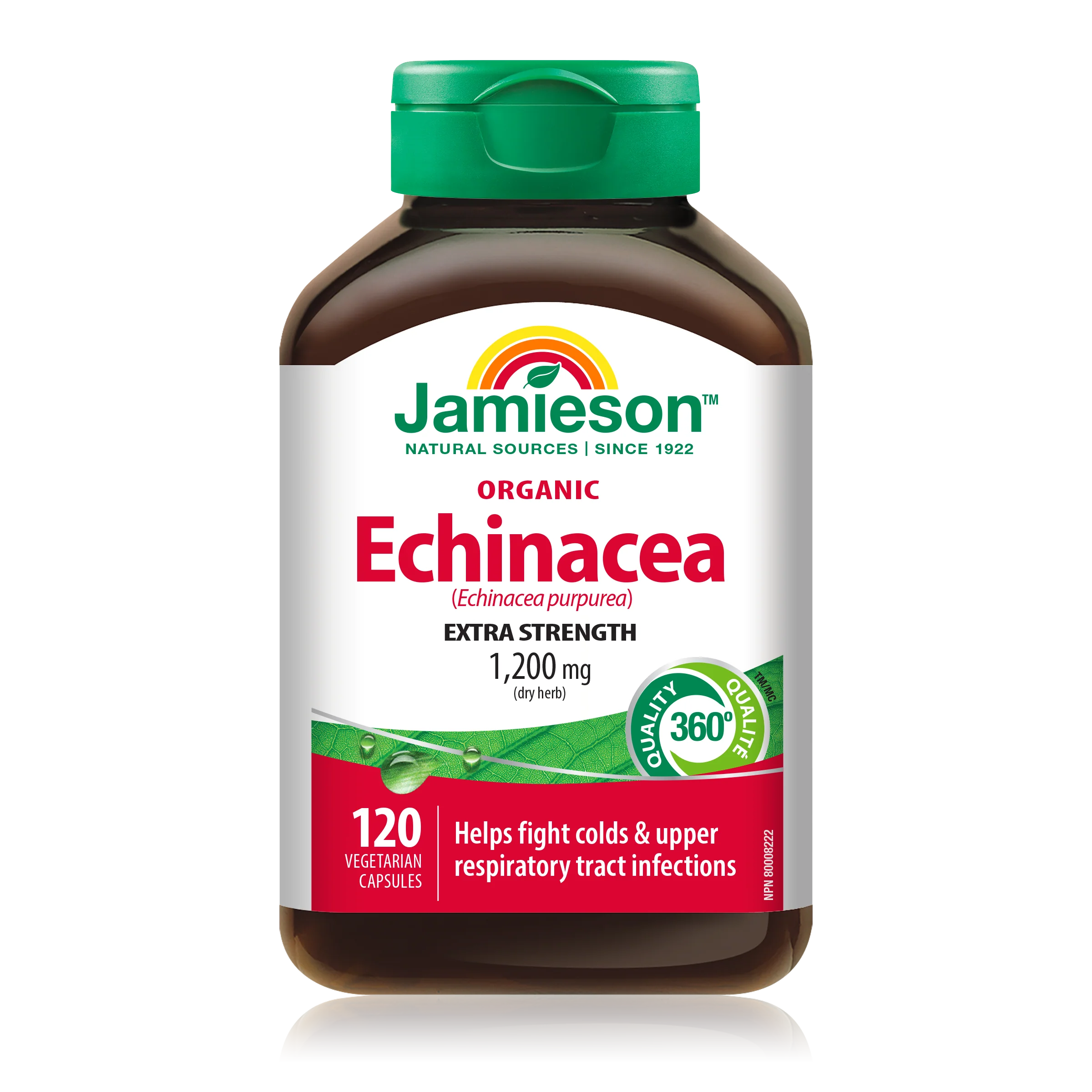 Organic Echinacea 1,200 mg