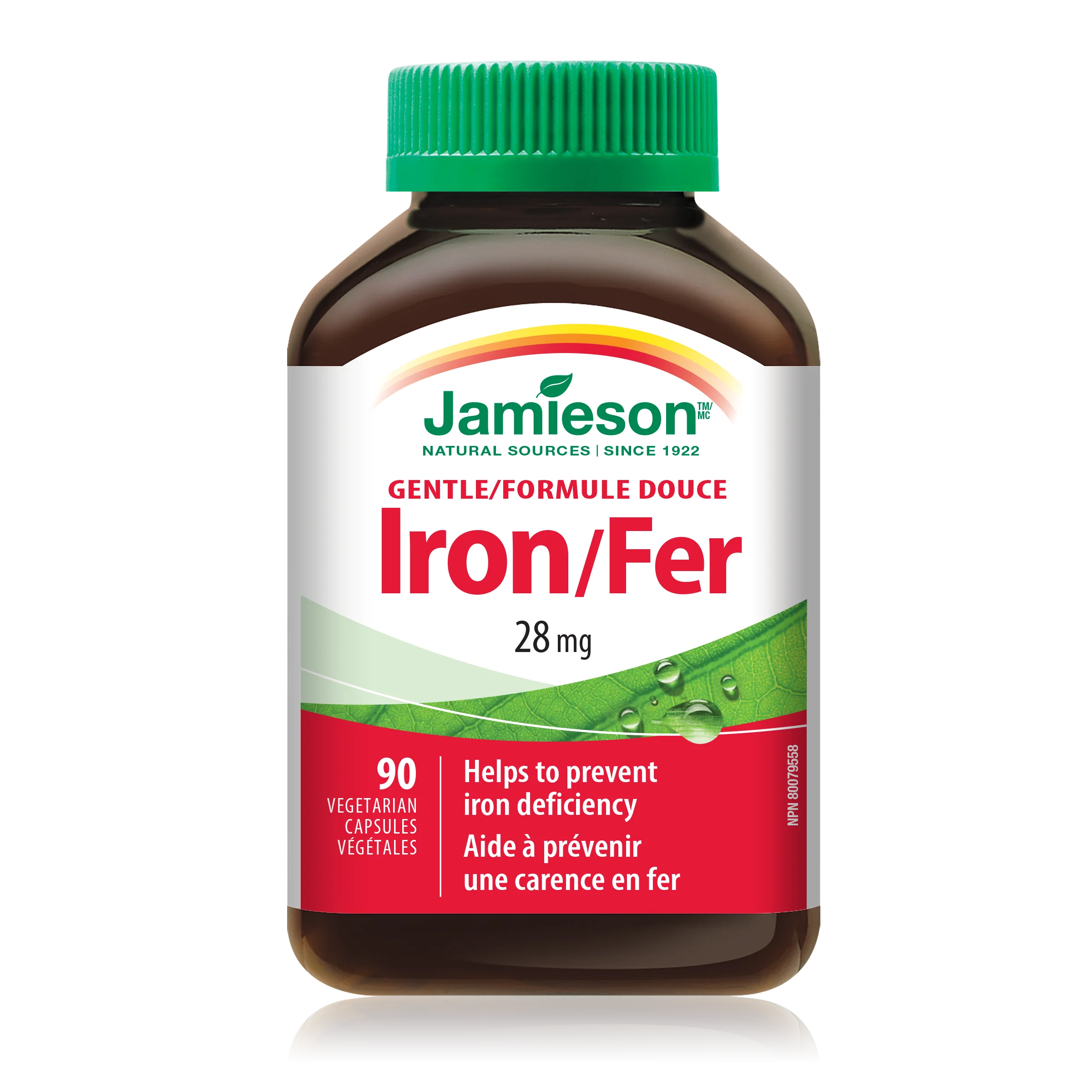 Gentle Iron - Image 5