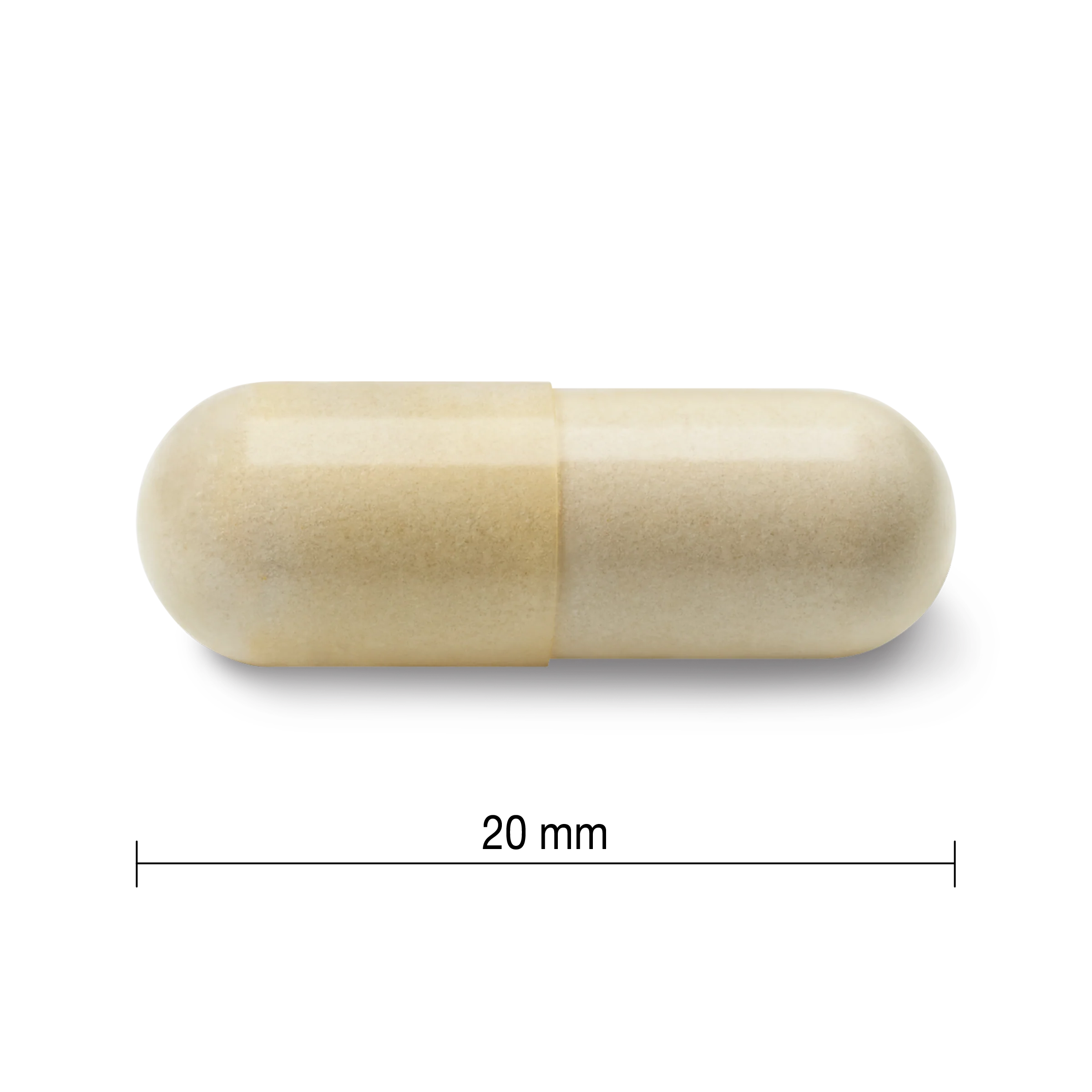 Glucosamine | Capsules - Image 4