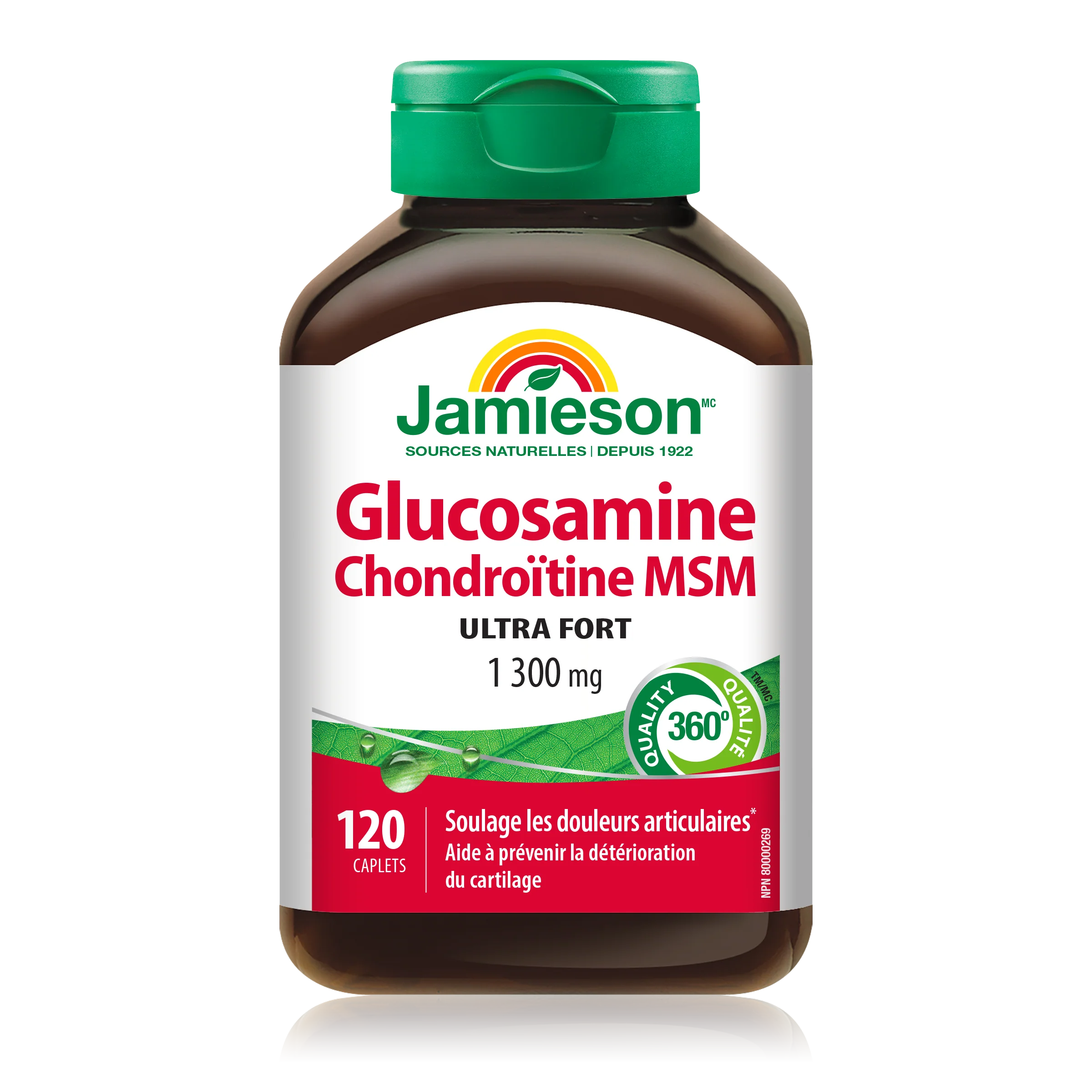 Glucosamine Chondroitin MSM - Image 2