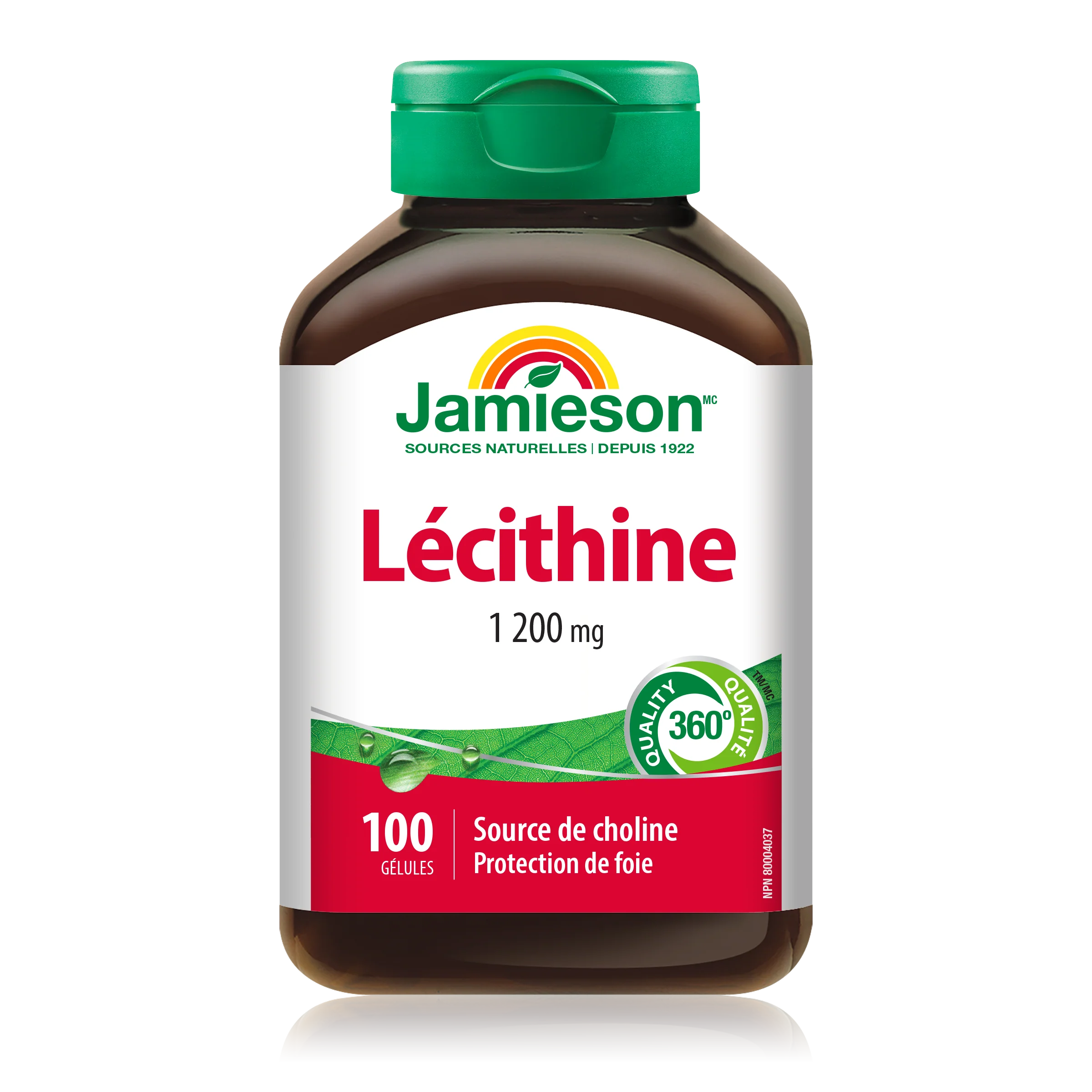 Lecithin