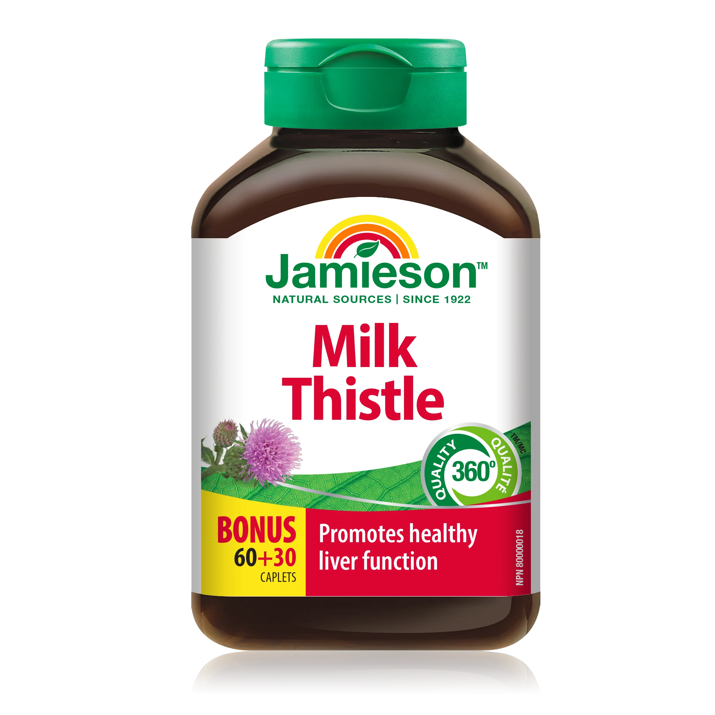 Milk Thistle
