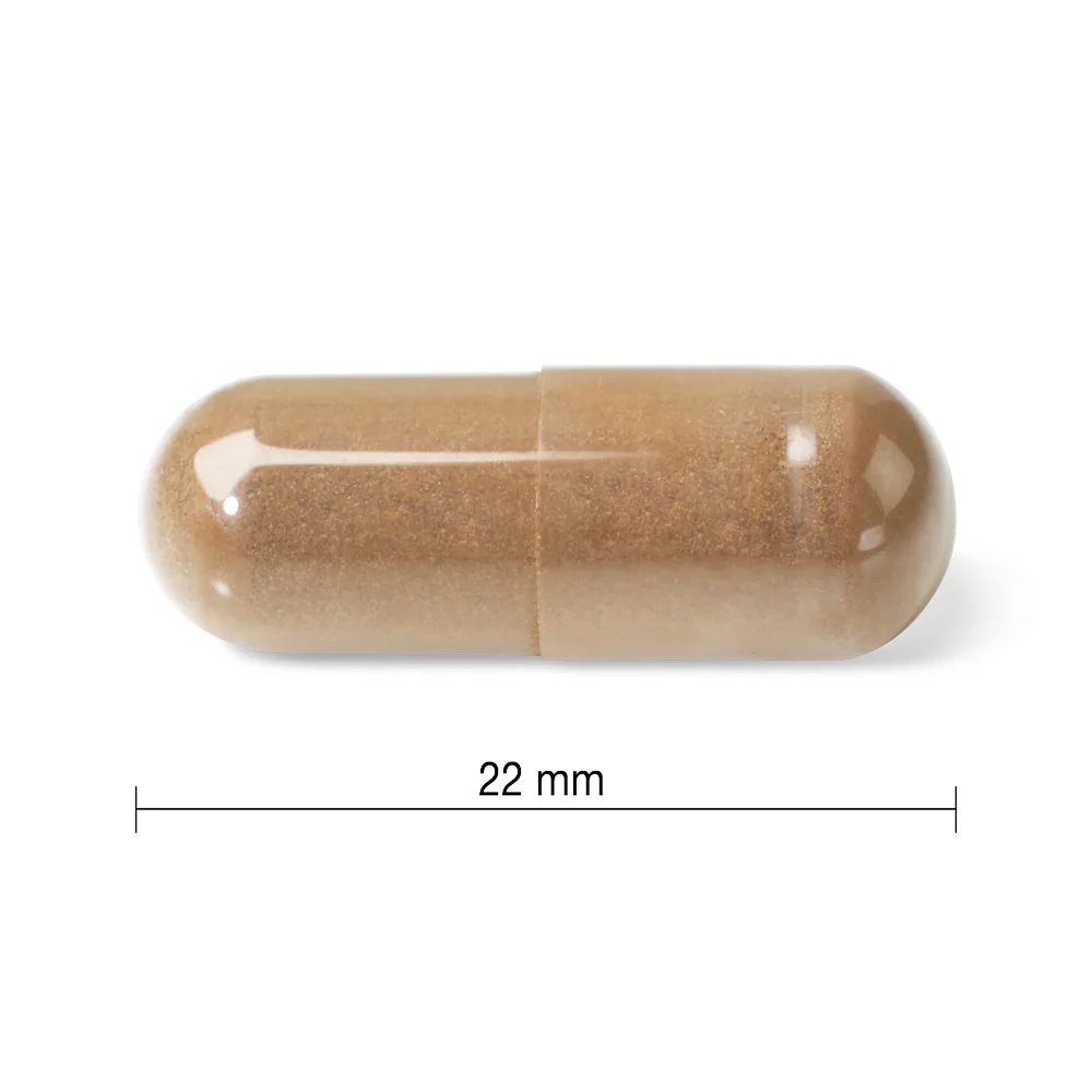 Mushroom Complex - Image 4