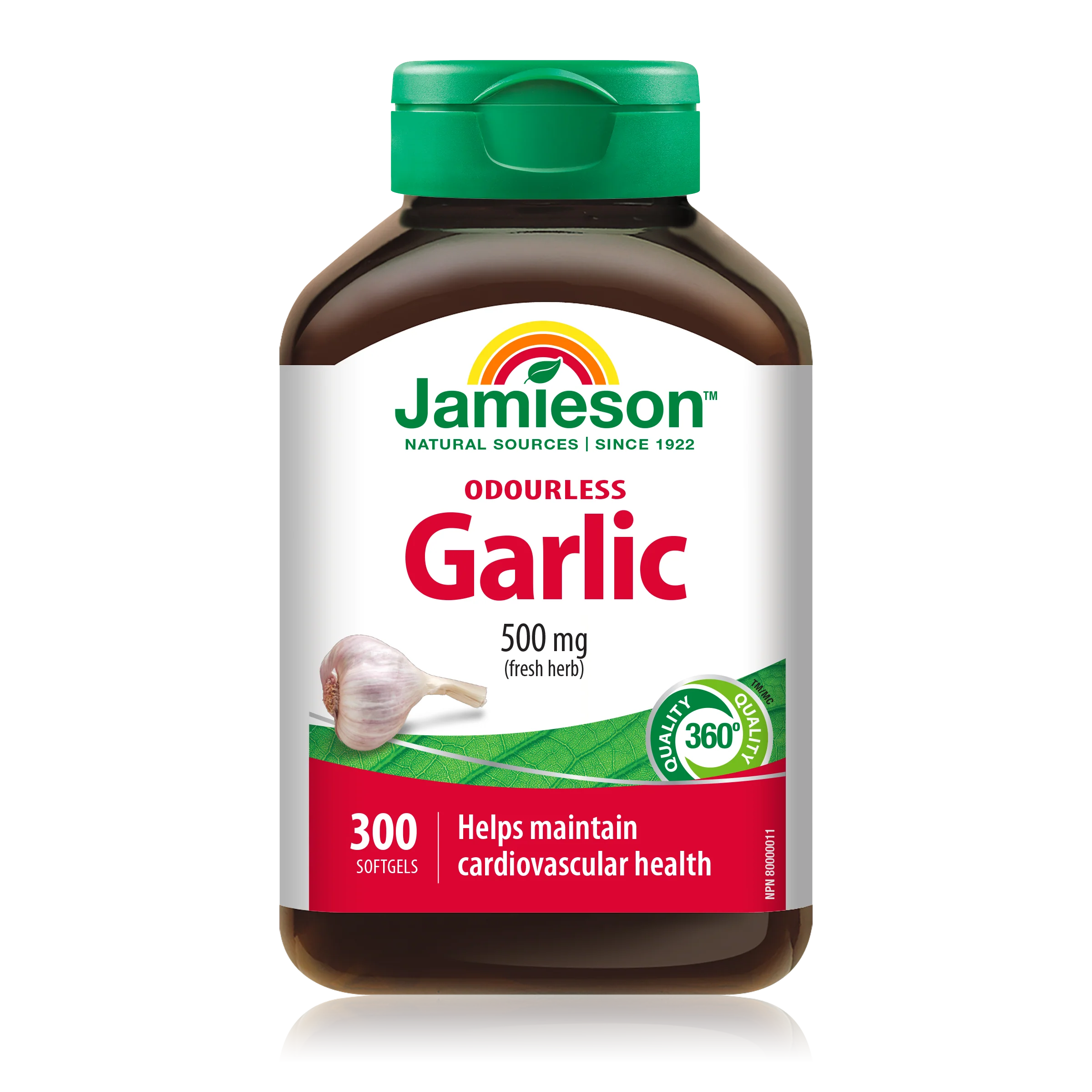 Odourless Garlic