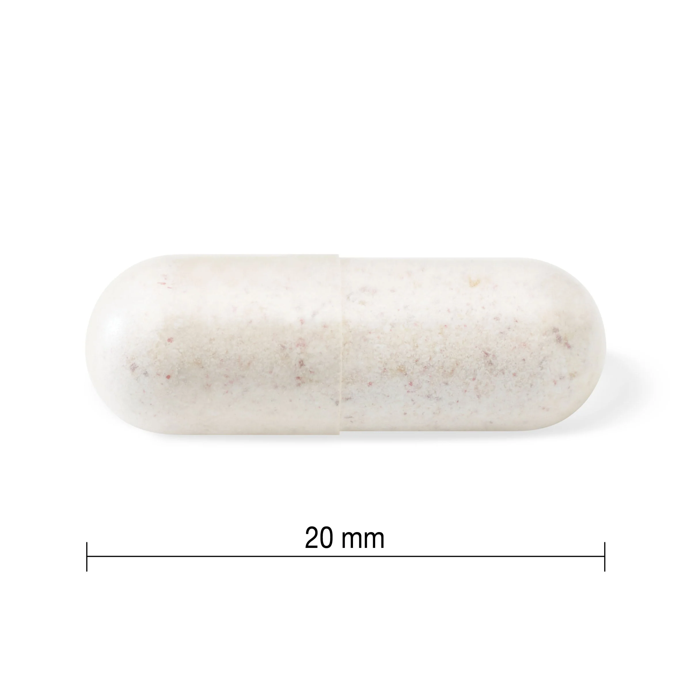 Probiotic 10 Billion CFU - Image 6