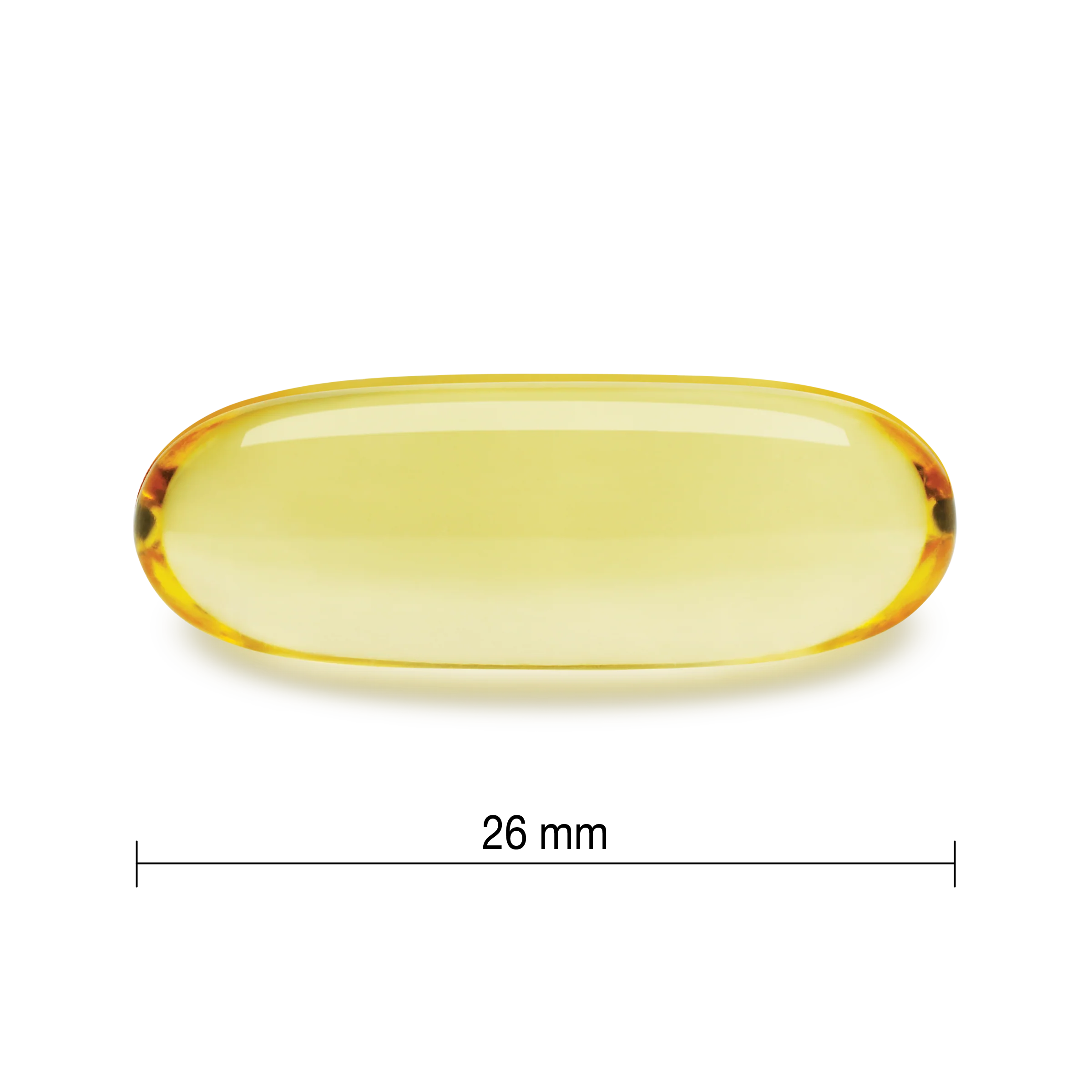 Salmon & Fish Oil - Image 4